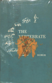 Image of The Vertebrate Body