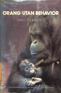 Image of Orang-Utan Behavior