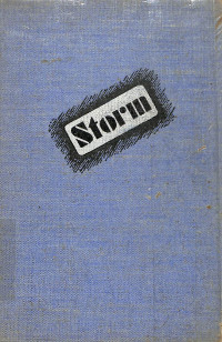Image of Storm