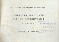 Image of American Fleet and Escort Destroyers 2