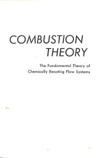 Image of Combustion Theory