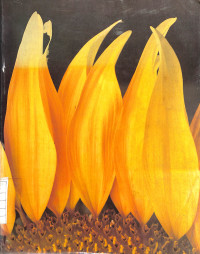 Image of Core Concepts in Health - Sixth Edition