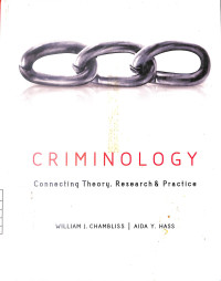 Image of Criminology : Connecting Theory, Research & Practice