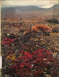 Image of Environmental Science : An Introduction