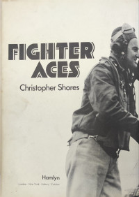 Image of Fighter Aces
