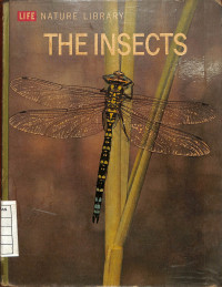 Image of Life Nature Library : The Insects