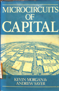 Image of Microcircuits of Capital
