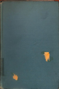 Image of Psychotherapy of The Psychoses