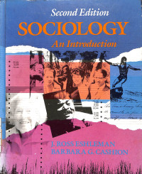 Image of Sociology : An Introduction - Second Edition