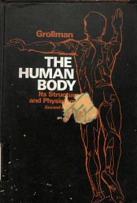 Image of The Human Body : Its Structure and Physiology - Second Edition