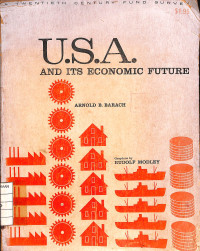 Image of USA and Its Economic Future